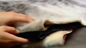 The price of a Nunavut seal pelt has dropped from as high as $70 to as low as $25 over the past year or so, according to a Canadian fur auction house that sells the pelts. (CBC)