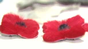 The poppies by Iqaluit seamstress Atsainak Akeesho features carefully trimmed rabbit fur dyed red and a black sealskin centre. (CBC)