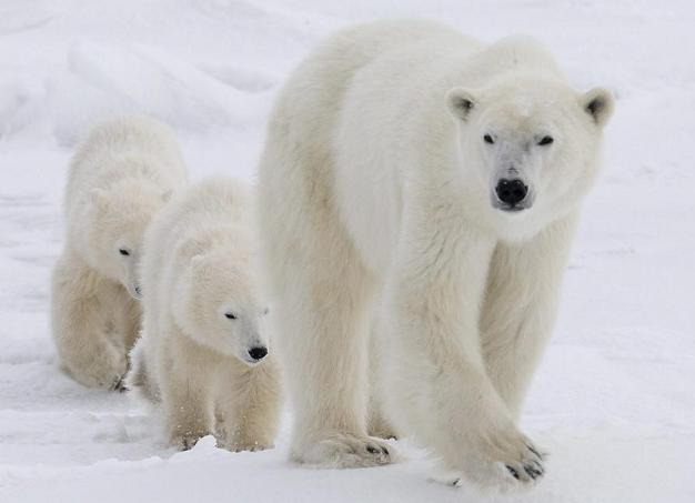 (Jonathan Hayward / The Canadian Press)