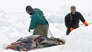Sealers