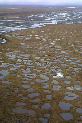 Arctic National Wildlife Refuge. (Al Grillo, AP)