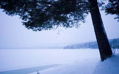 Swedish Lapland. (Jonathan Nackstrand/AFP)