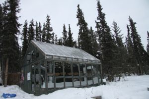 France and Doug are avid gardeners and grow a lot of their food. They’ve built this greenhouse to take advantage of the short but very intense growing season during long summer days.