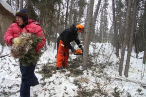 France and her husband Doug clear the brush around their house to protect it from forest fires.