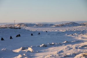 Arctic Landscape