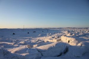 Arctic Landscape