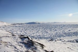 Arctic Landscape