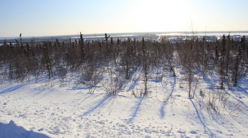 View from road near the Arctic community of Inuvik in Canada's Northwest Territories. (Eilís Quinn / Eye on the Arctic)