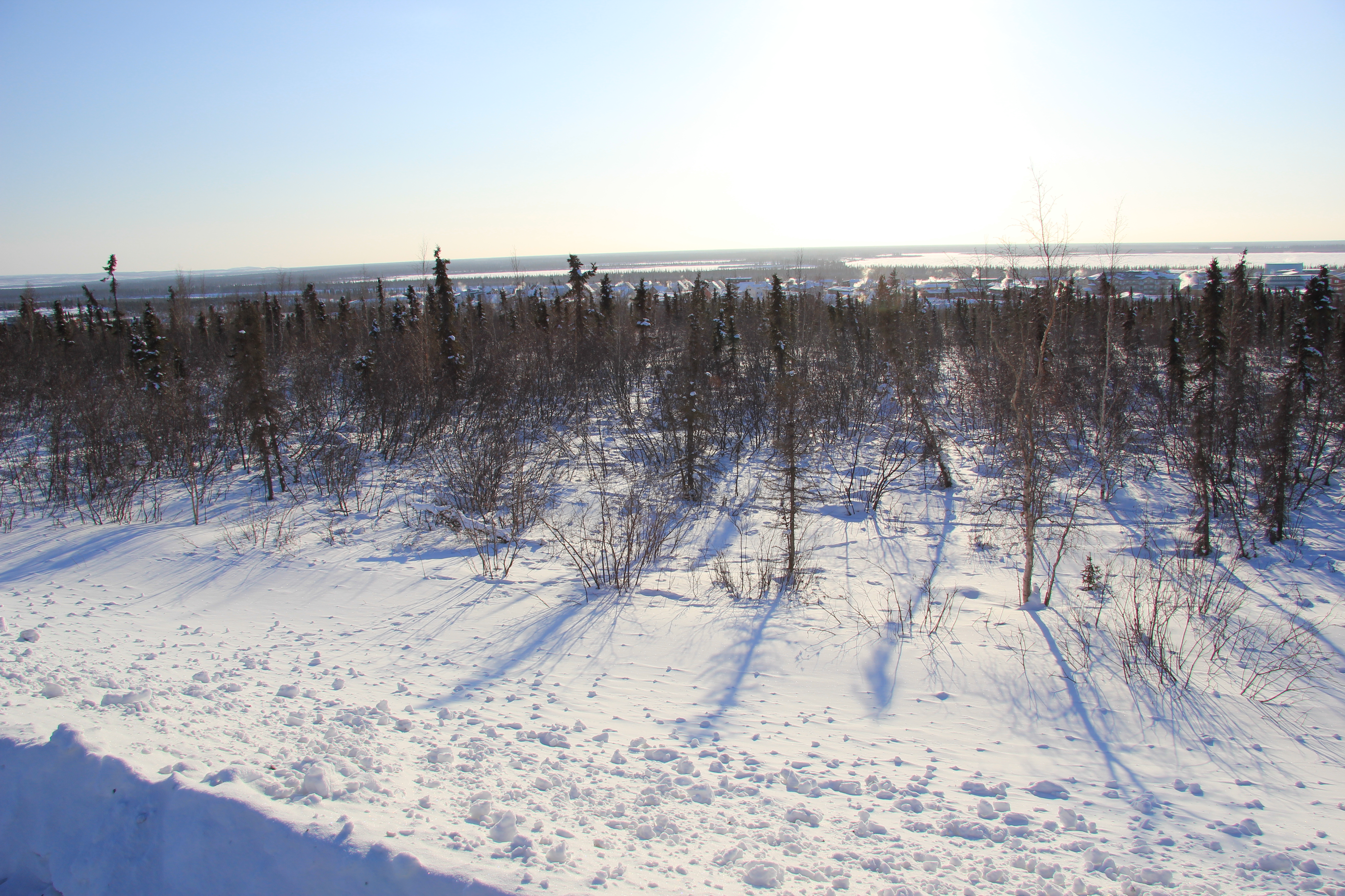View from road near the Arctic community of Inuvik in Canada's Northwest Territories. (Eilís Quinn / Eye on the Arctic)