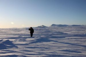 Inuit hunter and guide Elijah Pallituq walks on sea ice checking for seal breathing holes along the cracks in sea ice. Photo by Levon Sevunts.