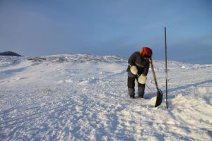 An Inuit hunter uses the shaft of his harpoon to punch a hole in the ice to check his underwater fishing nets. Photo by Levon Sevunts.