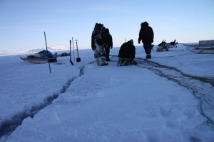 Inuit hunters prepare to set up a seal net in a crack between two sea ice plates. Photo by Levon Sevunts.