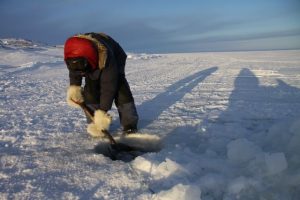 An Inuit hunter uses a snow shovel to scoop up slush from a hole in the ice to check his underwater fishing nets. Photo by Levon Sevunts.