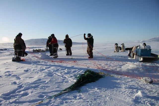 Inuit hunters set up seal nets under the ice near Clyde River, Nunavut. Photo by Levon Sevunts.