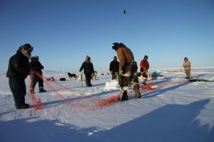 Inuit hunters set up fishing nets under the ice near Clyde River, Nunavut. Photo by Levon Sevunts.