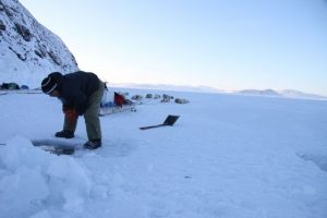 Inuit hunter Joelie Sanguya examines seal nets under the ice. Photo by Levon Sevunts.