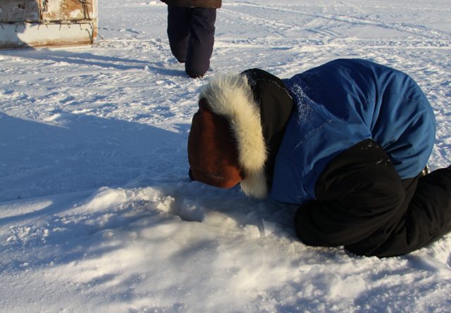 A young Inuit hunter looks into a seal breathing hole in the sea ice near Clyde River, Nunavut. (Levon Sevunts)