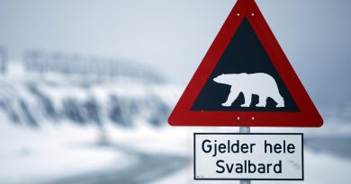 A sign warning of polar bears outside of Longyearbyen, the main settlement in Norway's Arctic archipelago of Svalbard. (John McConnico / AP Photo)