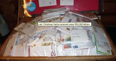 Last Christmas Santa received some 550,000 letters. (Hillevi Antikainen, Yle)