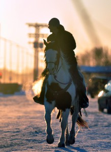 Jeff Duffield, of Wasilla, Alaska, rides his horse alongside the Parks Highway in downtown Wasilla. A new bus service will run between Wasilla and Fairbanks. (Matt Tunseth, Chugiak-Eagle River Star, AP)