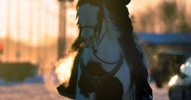 Jeff Duffield, of Wasilla, Alaska, rides his horse alongside the Parks Highway in downtown Wasilla. A new bus service will run between Wasilla and Fairbanks. (Matt Tunseth, Chugiak-Eagle River Star, AP)