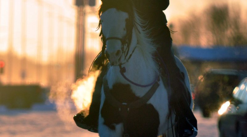 Jeff Duffield, of Wasilla, Alaska, rides his horse alongside the Parks Highway in downtown Wasilla. A new bus service will run between Wasilla and Fairbanks. (Matt Tunseth, Chugiak-Eagle River Star, AP)