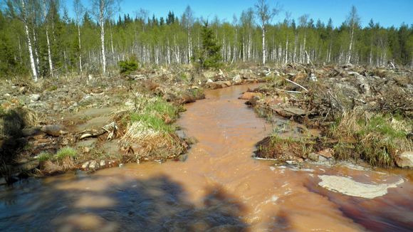 A view of the river downstream from the mine. (Pekka Rönkkö / Kainuun luonnonsuojelupiiri)
