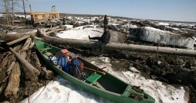 Sam Nathaniel climbs over a log following his neighbor Gary Bessette as they climb over blocks of Yukon River ice Monday, May 20, 2013, at Circle. An ice jam Sunday morning caused the river to rise rapidly flooding the village 160 miles northwest of Fairbanks. (AP Photo/ Fairbanks Daily News-Miner, Sam Harrel)