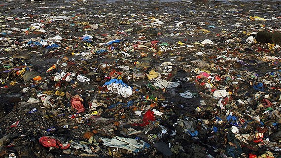 Plastic bags can end up in the sea, where it takes them hundreds of years to break down. (Rajesh Kumar Singh / Scanpix / Radio Sweden)