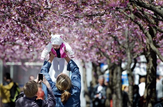 Kungstradgarden park in central Stockholm. Swedes are among the happiest people in the world. (Jessica Gow / Scanpix / AP)