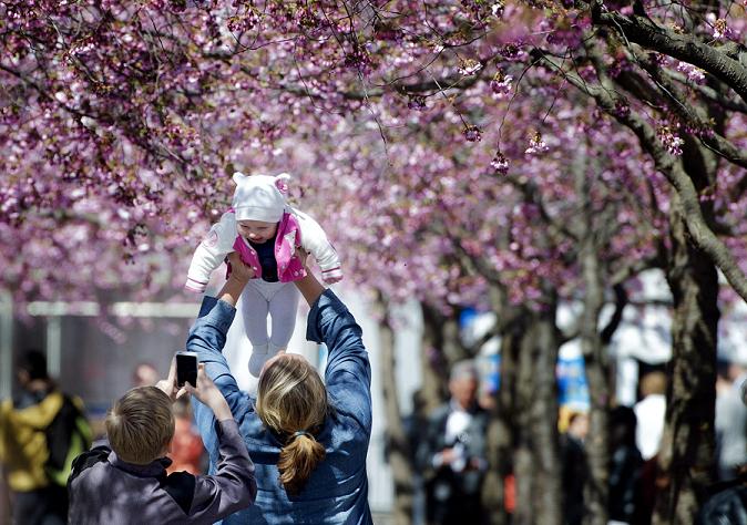 Kungstradgarden park in central Stockholm. Besides Finland, temperatures in Sweden's Far North have also been unseasonably warm. (Jessica Gow / Scanpix / AP)