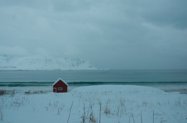 The Arctic – somebody’s home. (c) Mia Bennett