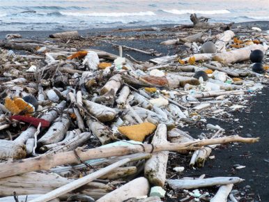 Trash from the 2011 tsunami in Japan finds its way ashore at Beach River on Montague Island. (Chris Pallister, Gulf Keepers of Alaska, Alaska Dispatch)