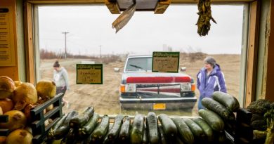 Tim Meyers has been farming in Bethel for a decade. This year he opened a farmers market, where he sells his own produce and organic fruits adn vegetables from outside. May 22, 2013. (Loren Holmes, Alaska Dispatch)