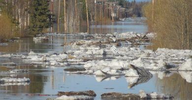Flooding in the Yukon River community of Galena, Alaska over the memorial Day weekend. (National Weather Service, Alaska Dispatch)