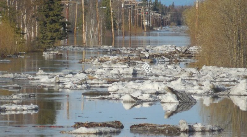 Flooding in the Yukon River community of Galena, Alaska over the memorial Day weekend. (National Weather Service, Alaska Dispatch)