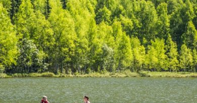 Anchorage set a new monthly record for the most days above 70 degrees – 17 so far, with more expected before the calendar flips to July on Monday. Other parts of Alaska have been even hotter. ( Loren Holmes / Alaska Dispatch)