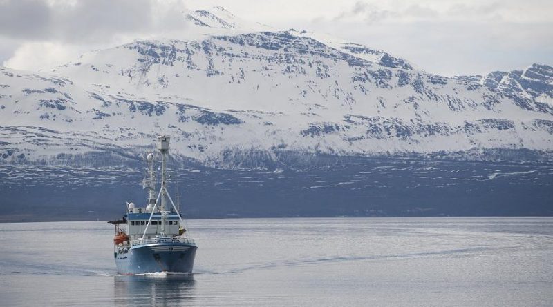 A boat off the coast of Tromso, Norway, the location of the Arctic Frontiers conference. (Saul Loeb / AFP)