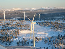 O2's existing wind power farm in Dorotea in northern Sweden. (Radio Sweden)