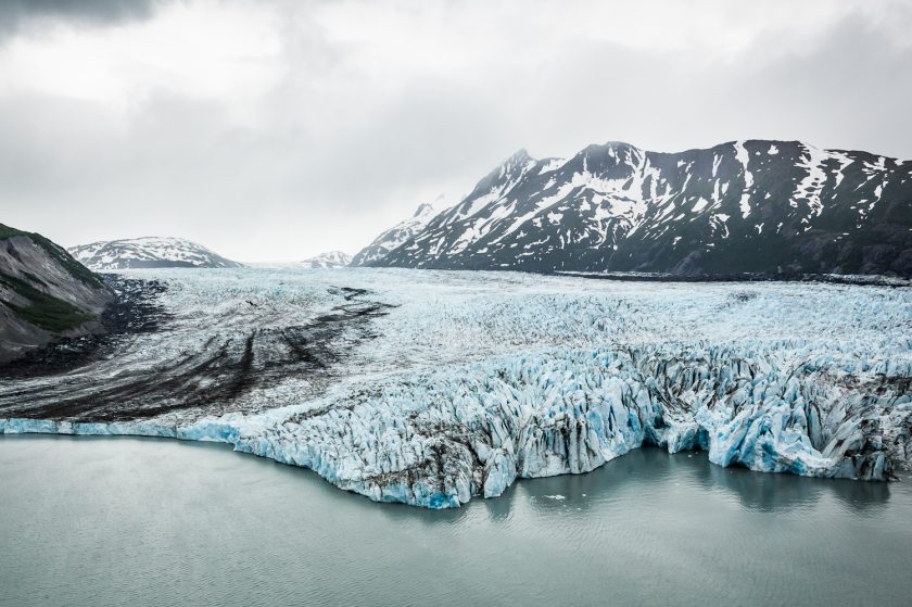 Colony Glacier, emptying into Lake George, is the site of a salvage operation underway by the Air Force. They are recovering the remains of a C-124 airplane that crashed in 1952. (Loren Holmes / Alaska Dispatch)