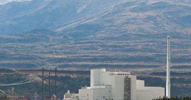The Healy Clean Coal plant near Denali National Park in Healy may yet end up producing electricity for consumers. (Robert Lype / courtesy Alaska Dispatch)