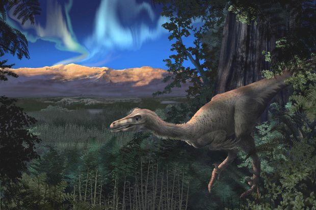 An artist's rendering of a Cretaceous-era sickle-toed hunter in Alaska. (Courtesy Perot Museum of Science and Nature / Alaska Dispatch)