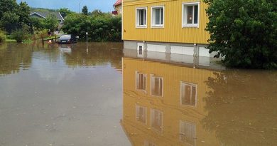 Flooding near Söderhamn. (Christian Höijer/Sveriges Radio)