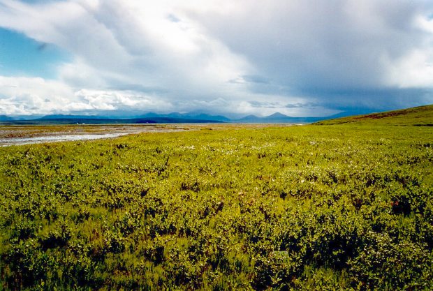 New U.S. Secretary of the Interior Sally Jewell is headed to Alaska to spend a night in the Arctic National Wildlife Refuge, a perennial battleground for environmentalists and proponents of oil drilling on Alaska's North Slope. (USFWS / Alaska Dispatch)