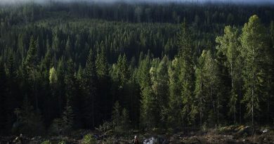 Sweden's 'outdoor access rights' have been translated into several languages to encourage immigrants to explore nature. (Jonathan Nackstrand / AFP)