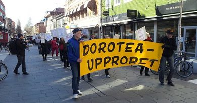 Protestors in the region of Dorotea demanded a referendum last year after plans to cut their emergency care services. ( Swedish Radio)