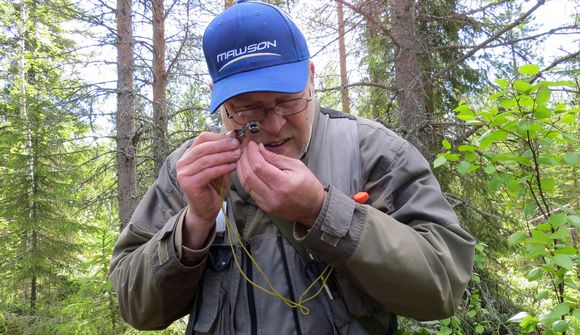 Mawson research director Erkki Vanhanen studies a sample in the field last June. (Riikka Rautiainen / Yle)