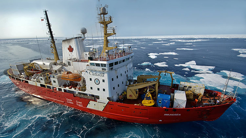 The Amundsen coast guard icebreaker. (ArcticNet / CBC)