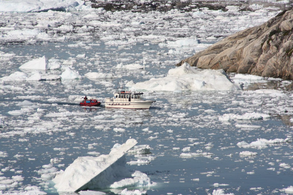 Warming oceans are having an impact on fish numbers. (Irene Quaile)