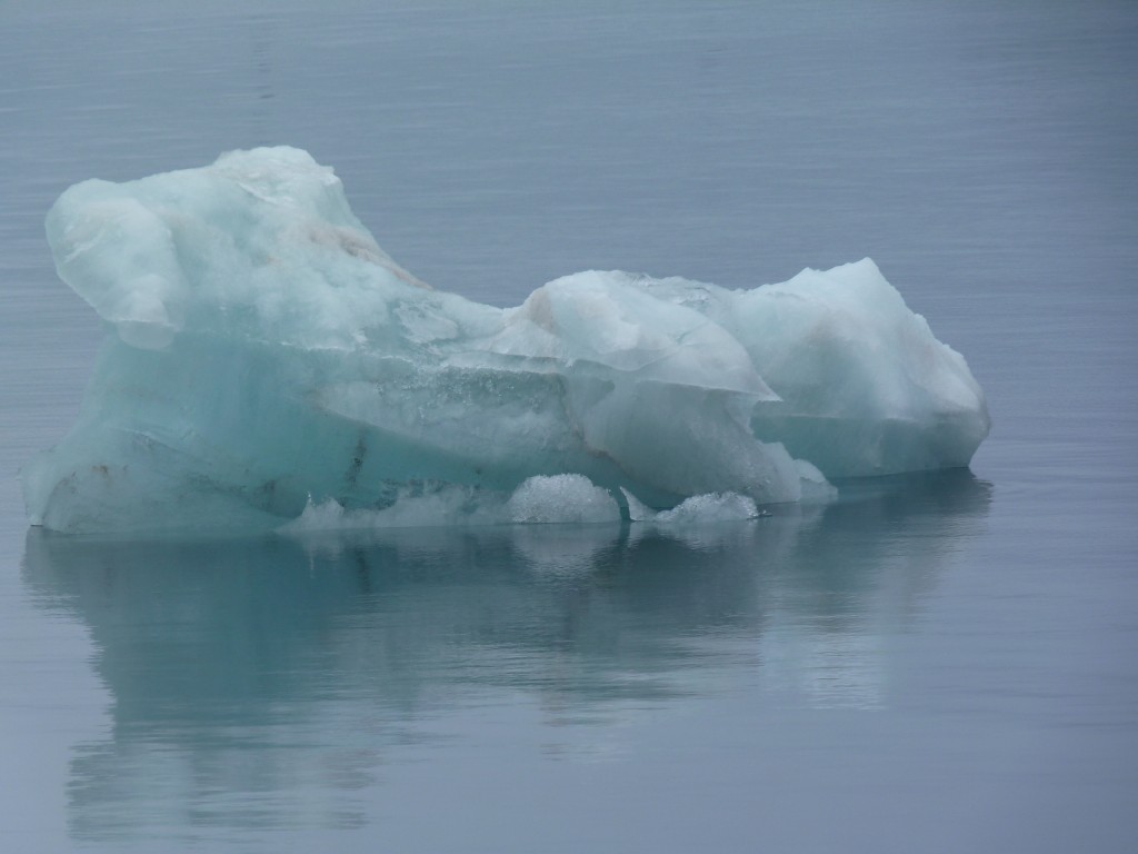 Melting ice in the waters off Spitsbergen. Already too hot for some? (Irene Quaile)
